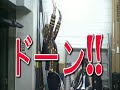 zenshin