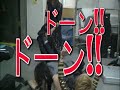 zenshin
