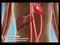 micro catheter