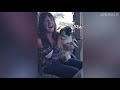 Try Not To Laugh - Funny Animals Videos Compilation 2019 - Animals Can Talk