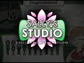 Sally's Studio Collector's Edition