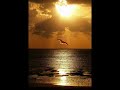 Ensemble Said Belcadi 2 Amdah Nabawuiya Anachid Dinia Anachid Diniya images Ensemble Said Belcadi 2 Amdah Nabawuiya Anachid Dinia Anachid Diniya