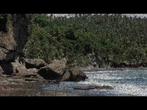 Capuchin Medical Mission - Kalbay 2010...
