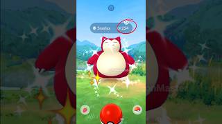 Lets Go Got Wild Shiny Lazy Bear In Pokemon Go