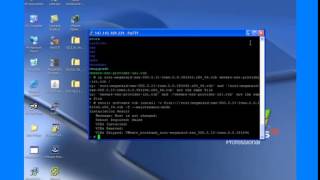 Upgrade Megaraid Driver For Vmware 5 0 And Load Lsi Cim Provider Under Esxi Server