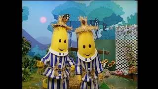 Bananas In Pyjamas - Ep.74 - Scarecrow