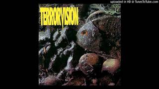 Watch Terrorvision Killing Time video