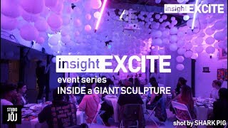 insightEXCITE (extended)