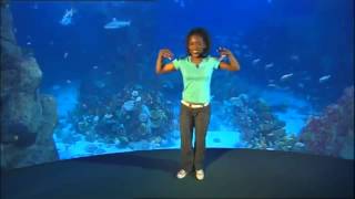 Watch Boogie Beebies Ocean Motion video