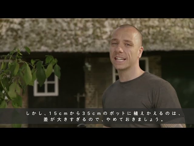Watch (日本/Japanese) 苗の植えかえ方 - S2E02 on YouTube.