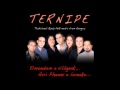 Ternipe - Numa tusa ("Avri Phenav e lumake" album)