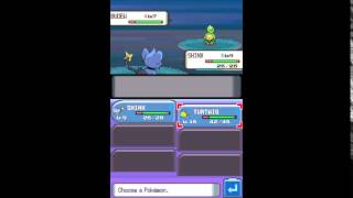 Pokemon Pearl walkthorugh part 7 : Route 204