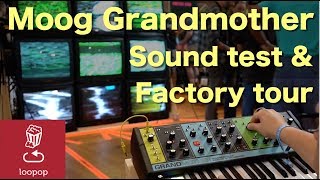 Moog Grandmother sound test and popup factory tour Moog Grandmother sound test and popup factory tour