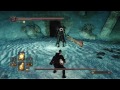 Dark Souls 2: Crown of the Old Iron King #10 - BOSS: Rauchritter (Let's Play DLC German 1440p)