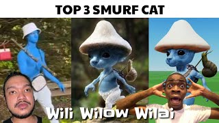 Top 3 Smurf Cat