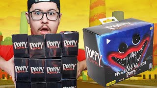 Unboxing 12  Poppy Playtime Mystery Plush Boxes!