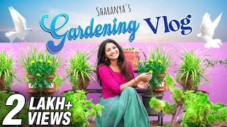 Welcome To My Terrace Garden Sharanyas Gardening Vlog Rooftop Garden Ideas Sharanya Turadi