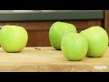 pectin
