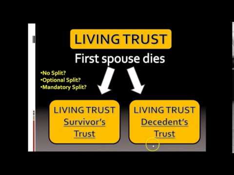 Stock options living trust