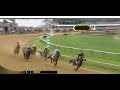 preakness stakes