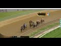 preakness stakes