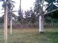 godavari village