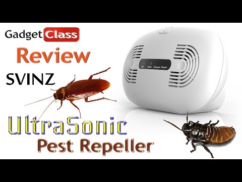 Forex pest control