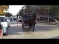 Foggia. Polizia Municipale a cavallo. video 2