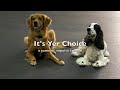 "It's Yer Choice"