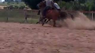 Tarleey Derrubando O Boi.3Gp