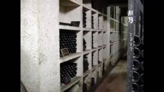 Concrete Wine Cellar