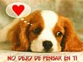 Solo queria que lo supieras. (Cancion para declarar)