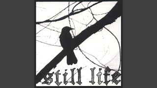 Watch Still Life The Straydog Lullaby video