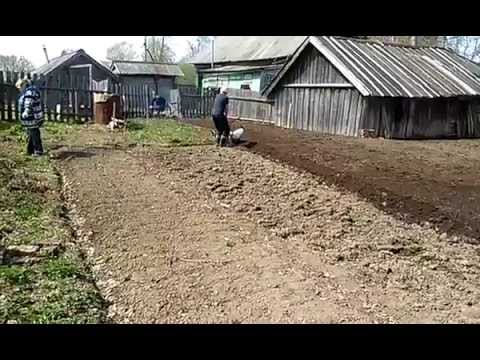 Оригами модульными к 8 марту Оригами модульными к 8 марту