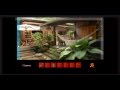 Abandoned Island Escape Walkthrough
