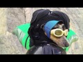 World's First Wingsuit BASE Jumping Dog