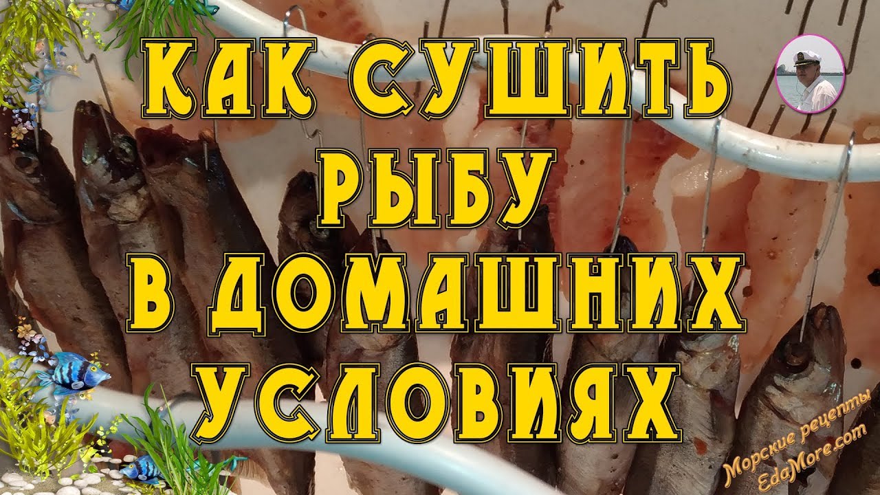 Засушка рыбы в домашних условиях Засушка рыбы в домашних условиях