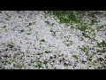 Сильный град в городе Снежное 15.05.2018 Сильный град в городе Снежное 15.05.2018