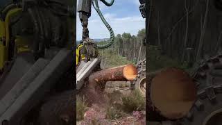 Precision Maneuvering: John Deere 1270G Harvester In The Forest #Johndeere #Harvester #Viral #Wood