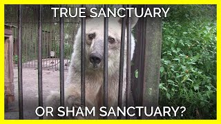 The Difference Between a True Animal Sanctuary and a Sham Sanctuary