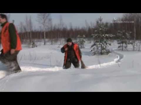 На тему новый год с дед морозом
