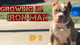 Growing Up Iron Man Ep 6