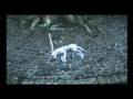 Haunting Ground - Hard Mode Walkthrough 02