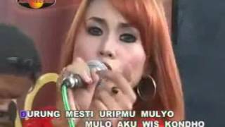Eny Sagita Ngamen 2