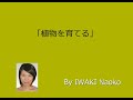 Raising plants - JOI Japanese Teachers Blog