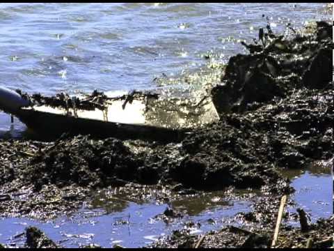 Mud Duck Boats - YouTube