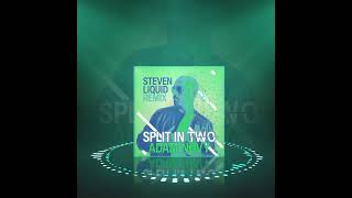 Adam Novy - Split In Two (Steven Liquid Remix) 💚