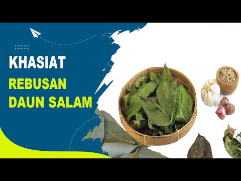 Benefits of Salam Leaves for Health