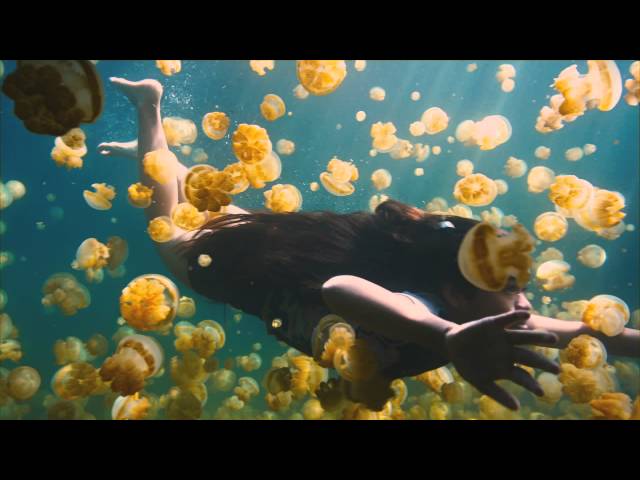 LAST REEF @ VTIFF 2012