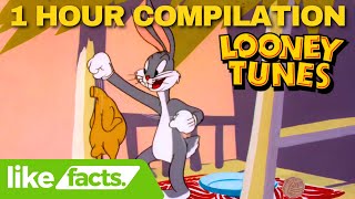 Looney Tunes Compilation 1 Hour Compilation Hd Remastered